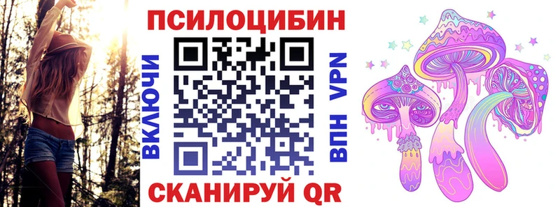 Псилоцибиновые грибы Cubensis  Красноярск 