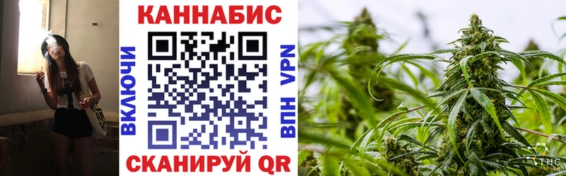 Каннабис планчик  как найти закладки  Красноярск 